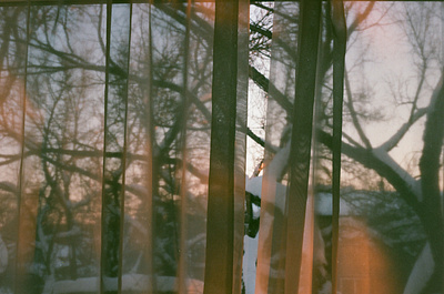 Gauzy 35mm alberta analog canada canon ae 1 film film photography photography