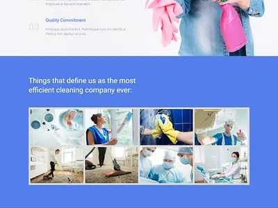 clening landing page