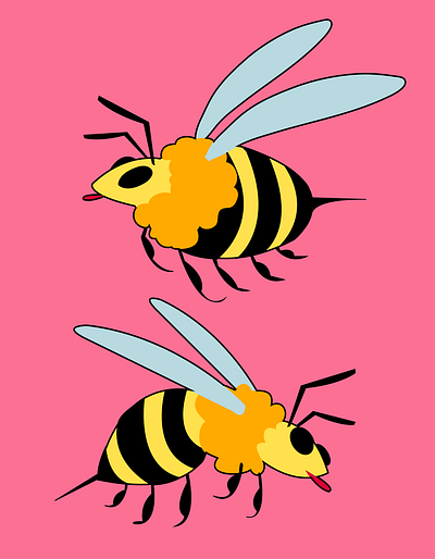 Bee abeja bees honeybee illustration