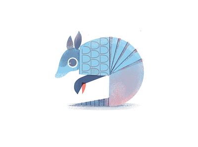 Armadillo illustration