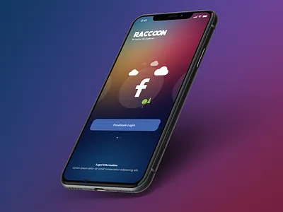 Raccoon app design ui