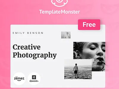 Free WordPress theme freebie