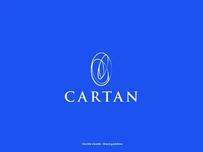 Visual Identity-Cartan brand branding financial geometry insurance logo logotype visual identity