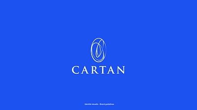 Visual Identity-Cartan brand branding financial geometry insurance logo logotype visual identity