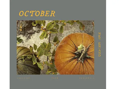 𝓞𝓬𝓽𝓸𝓫𝓮𝓻 2 farm graphic design lettering new england october pumpkin pumpkin patch typography