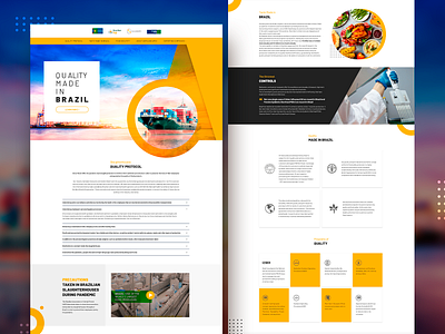 Quality Made in Brazil Landing Page design landing page landing page design ui ux