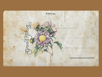 𝓖𝓻𝓪𝓷𝓭 𝓣𝓮𝓽𝓸𝓷 3 grand teton graphic design lettering montana national park nationalparks post card postcard postcard design print design the grand tetons typography vintage wyoming