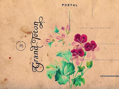 Grand Teton floral grand tetons graphic design lettering national park nationalparks print typography vintage vintage postcard