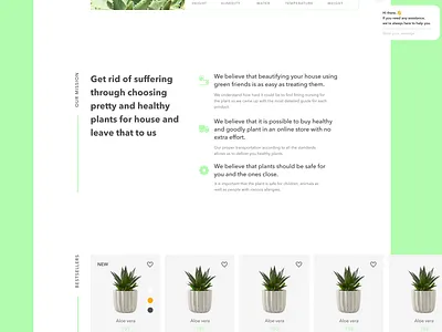 E-commerce Succulent's Shop design minimal ui ux web website