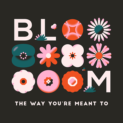 Bloom the way you're meant to bloom daisy feminine flat flower garden graphic illustrated typography illustration illustrator minimal pastel pink plant quotes red sunflower texture typography vector