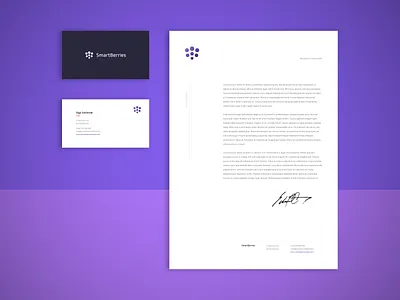 Smartberries - Stationary ID berry brand brand identity branding branding design design flat food food test identity identity branding lab labolatory minimal smart tech technology testing visual identity