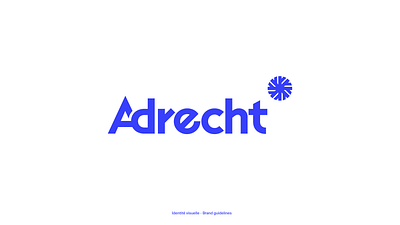 Visual Identity-Adrecht brand design branding graphic design logo logotype