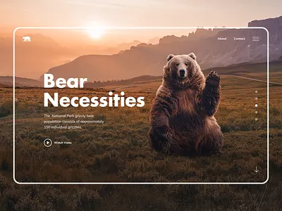 Hero section Design concept bear hero banner hero image hero section homepage landingpage national park ui ux webdesign website design wildlife