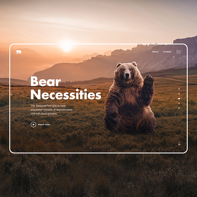 Hero section Design concept bear hero banner hero image hero section homepage landingpage national park ui ux webdesign website design wildlife