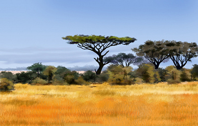 africa design digital painting digitalart illustration painting scenery wallpaper