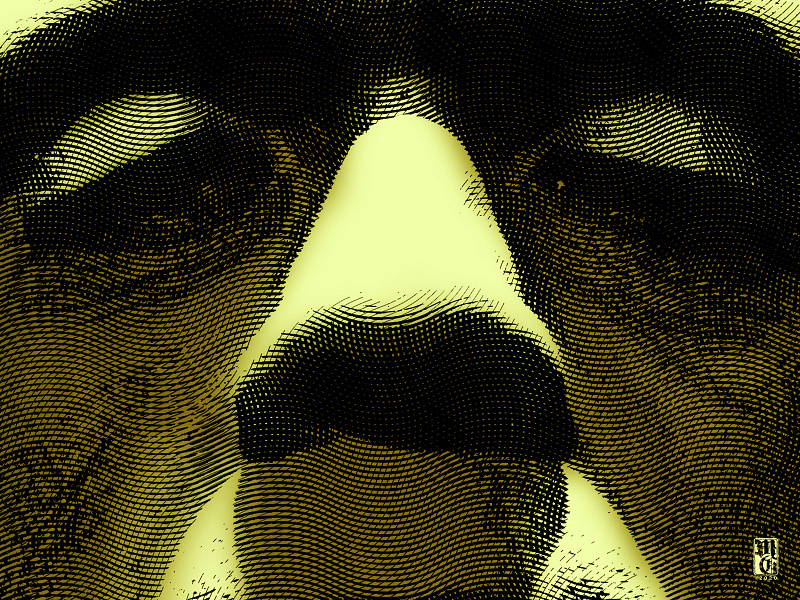 Frankenstein's Monster boris karloff illustration portrait universal monsters