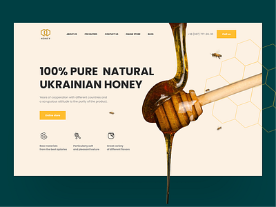 Ukrainian Honey Website design graphic design honey landing typography ui ukraine website