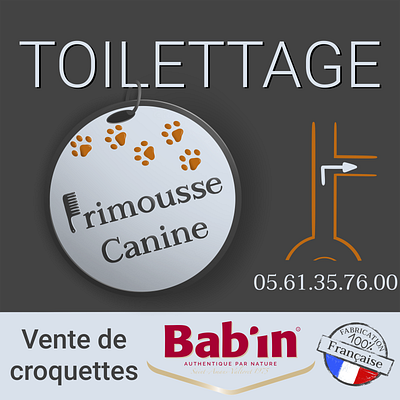 Toilettage branding design illustration logo webdesign