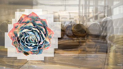 Three Takes photography vector vector art white