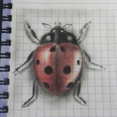 la chinita o mariquita 3d 3d art art artwork insect