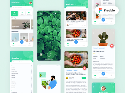 Plant App | UI Design & Illustration Freebie app clean freebie freebies illustration iphone x ui ui design uiux uxui