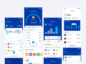 Doit - Expense Management App by Sans Design for Sans Brothers on Dribbble