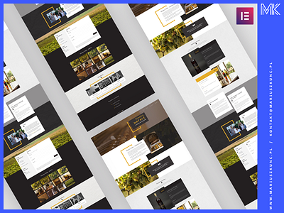 Winnica / website / elementor branding design elementor elementor pro homepage layout ui uidesign ux web webdesign website