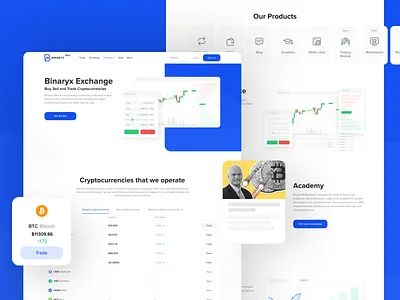 Binaryx Cryptocurrency Trading Platform bitcoin bitcoin exchange blockchain blockchain cryptocurrency btc crypto crypto exchange cryptocurrency exchange platform ui ui ux ux ux ui
