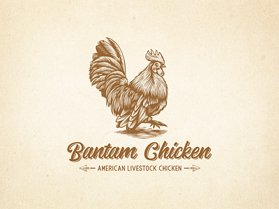 Bantam Chicken Vintage Logo