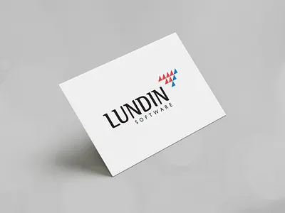 Lundin Software brand identity branding business corporate design logo modern