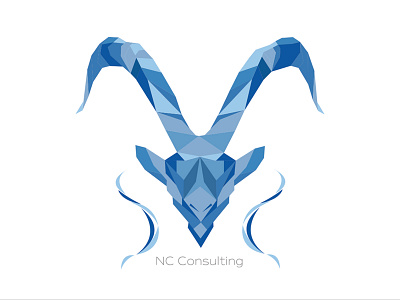 NC Consulting LOGO DESIGN adobe illustrator consulting logo logo logo design logo design branding vector graphics