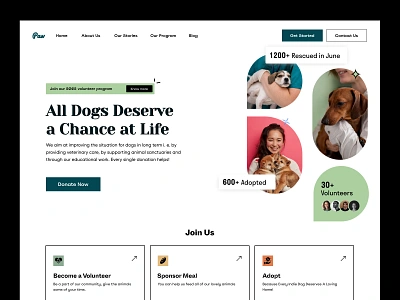 Dog Adoption Web Design adopt a pet adoption animal rescue animal sanctuary aspca dog adoption dog rescue donation get your pet landing page ngo pefinder pet adoption petsmart ui ux veterinary volunteer web design