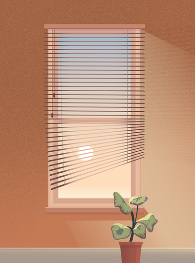 Morning Light illustration illustrator light plant plant illustration window