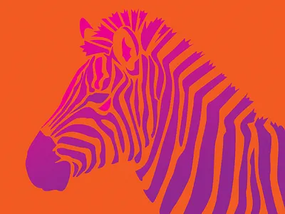 zebra design flat illustration vector