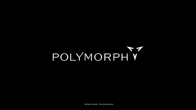 Visual Identity-Polymorph Audio audio brand design brand identity branding brochure graphic design logo logotype luxury