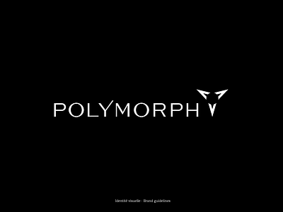 Visual Identity-Polymorph Audio audio brand design brand identity branding brochure graphic design logo logotype luxury