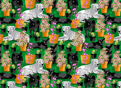 Bruno and the cat animal color colorful fun illustration pattern patterns surface surface pattern textile