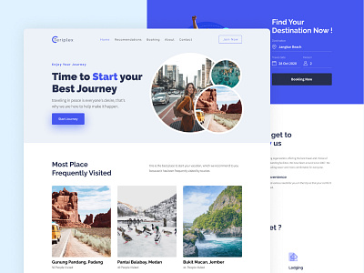 Teriplex - Traveling website exploration app branding design landingpage travel traveling ui uiux ux web website website design