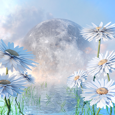 Moonflower Composite Low 3d 3d art 3dartist blender3d dailyrender design landscape render surreal surrealism