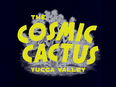 The Cosmic Cactus branding illustration lettering logo type typography