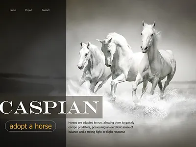 caspian design landing page ui web