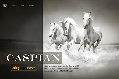 caspian design landing page ui web