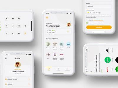 Payments - App app app design design entertainment finance financial fintech home home screen interface netflix payments playstation profile recharge spotify ui ux