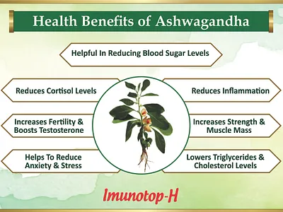 5 immune boosters to help keep you healthy amid COVID-19 outbrea best foodsupplements immunebooster
