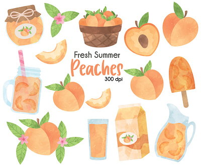 Peach Clip Art set illustration peach clip art peach illustration procreate