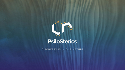 Psilosterics brand identity branding branding and identity design graphic design logo logo icon ui vector