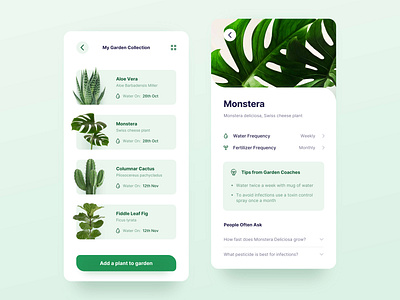 Plant App: My Garden Collection aloe vera cactus cards fiddle leaf fig garden green leaves mobile ui monstera plant app plant care plants