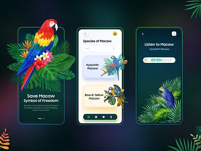 Safe Macaw Mobile UI Concept app art birds branding concept design illustration macaw minimal mobile mobile design mobileappdesign mobileapps product design savebirds typography ui uiux uiuxdesign vector