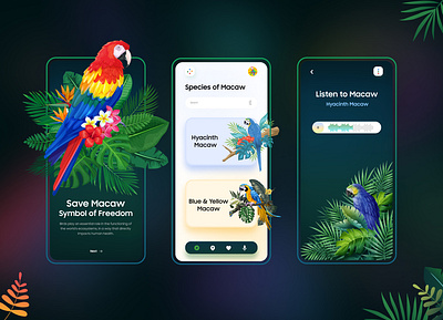 Safe Macaw Mobile UI Concept app art birds branding concept design illustration macaw minimal mobile mobile design mobileappdesign mobileapps product design savebirds typography ui uiux uiuxdesign vector