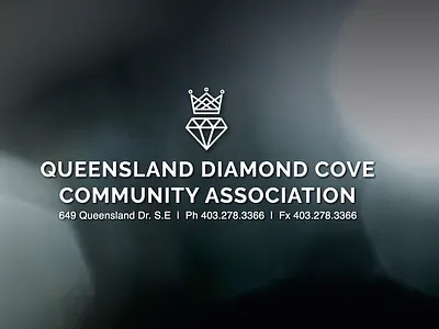 Queensland Diamond Cove Community Association branding design flat icon logo minimal vector web web design website